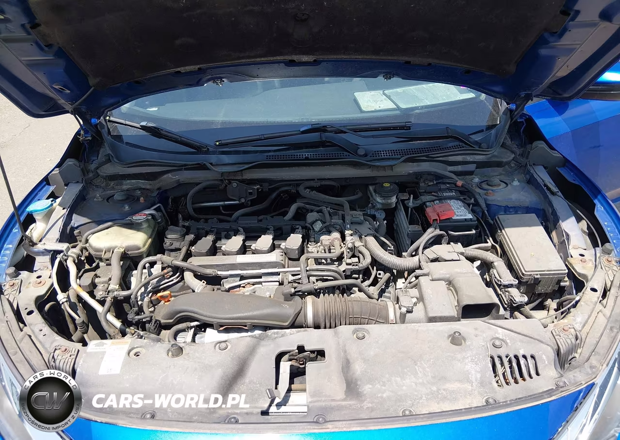 2017 Honda Civic Ex-L VIN:2HGFC1F74HH644203 - 10