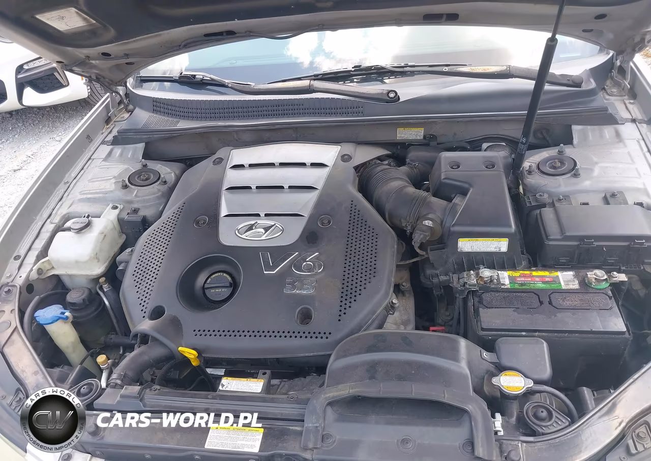 2007 Hyundai Sonata Limited-Limited W-Xm-Se-Se W-Xm VIN:5NPEU46F47H188872 - 10