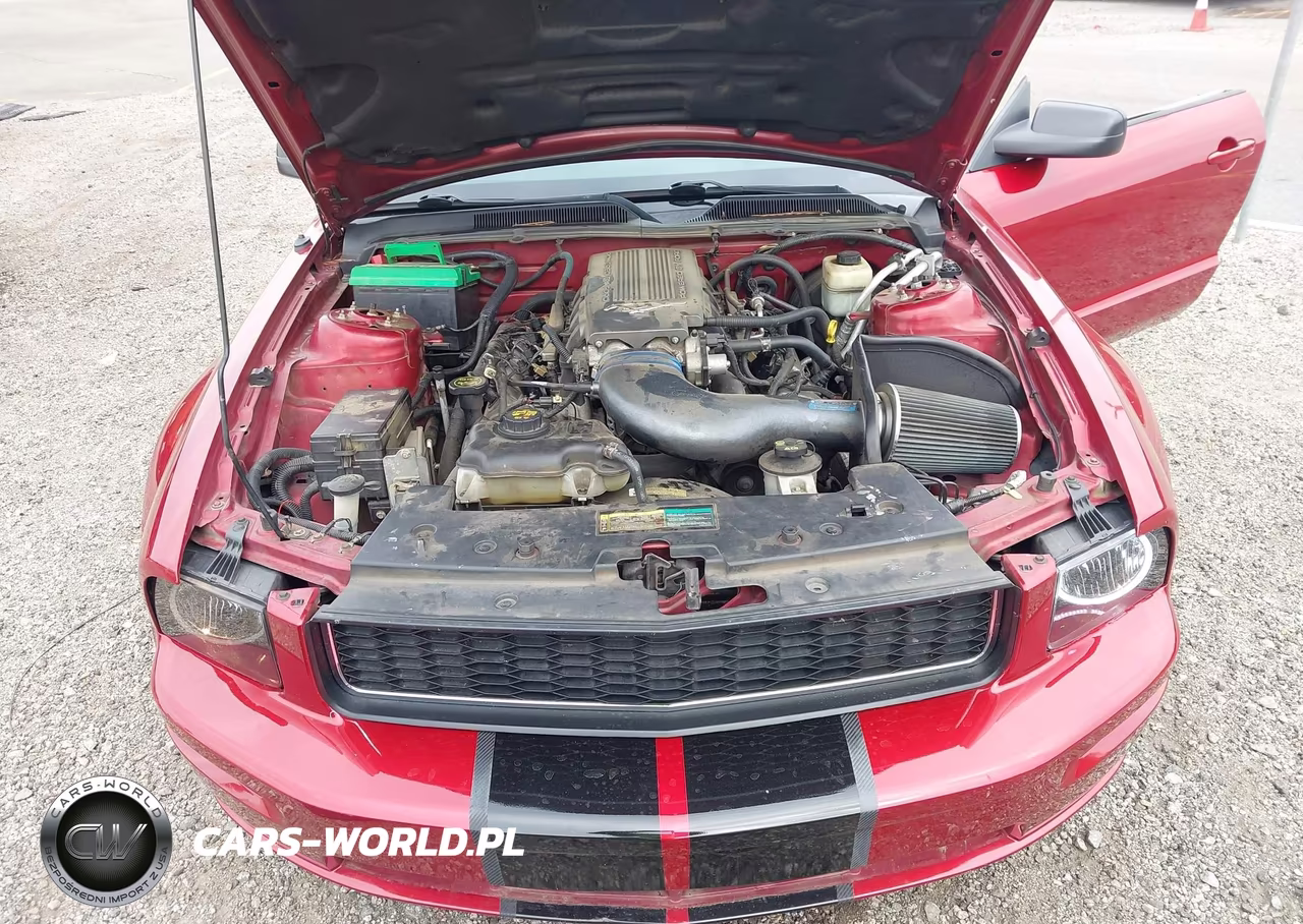 2007 Ford Mustang Gt Deluxe-Gt Premium VIN:1ZVFT82H575363732 - 10