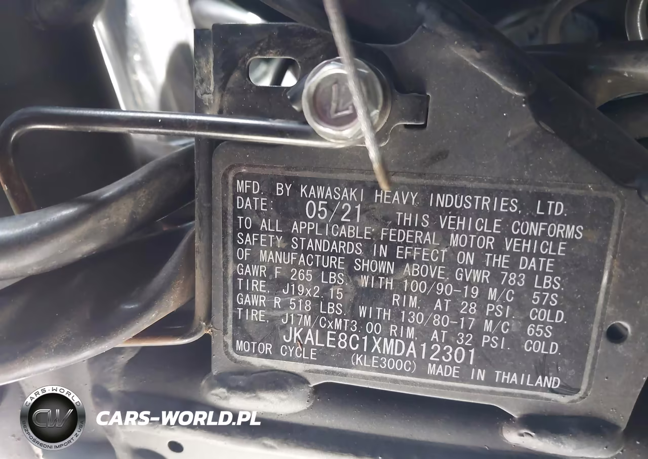 2021 Kawasaki Kle300 C VIN:JKALE8C1XMDA12301 - 10