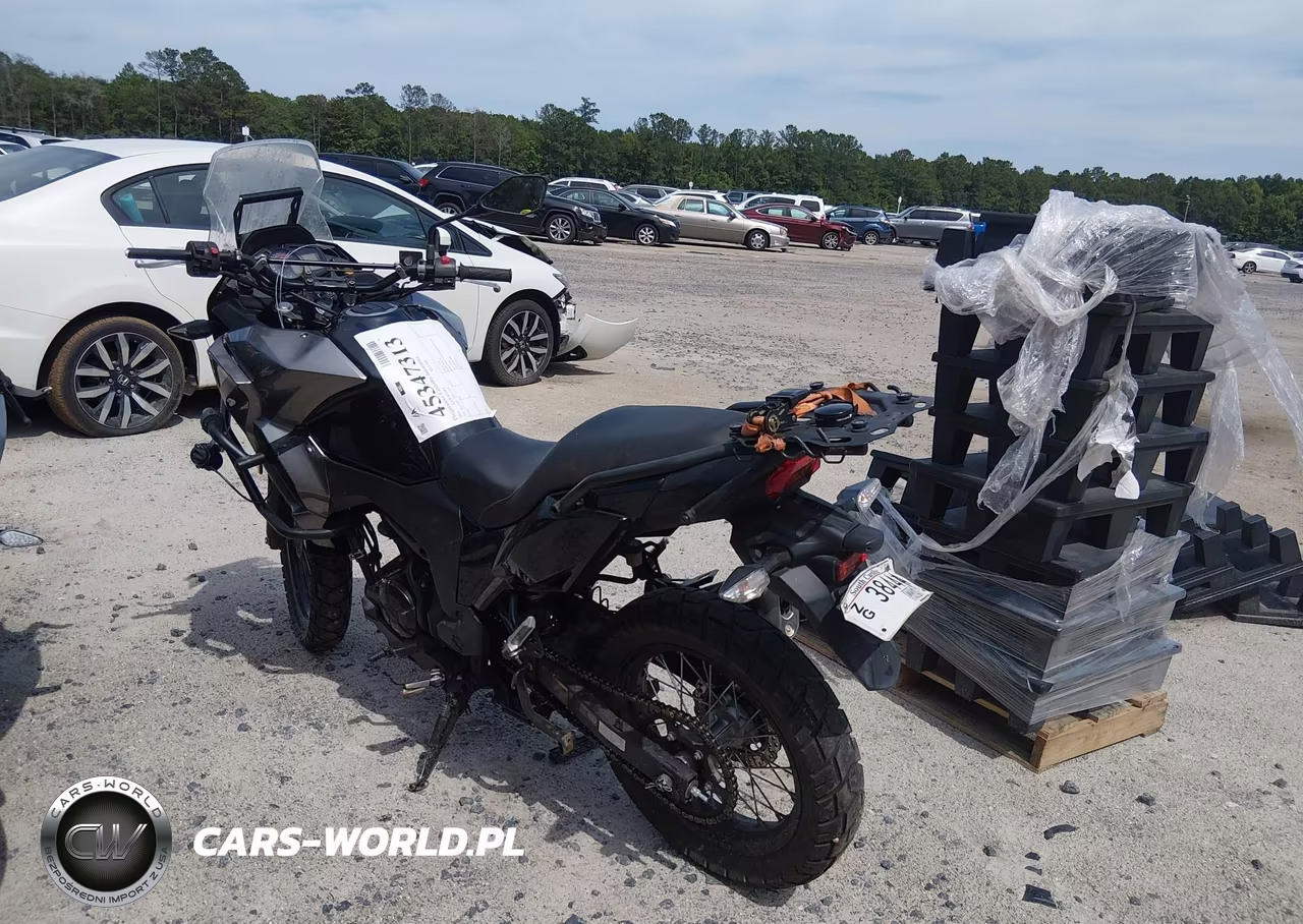 2021 Kawasaki Kle300 C VIN:JKALE8C1XMDA12301 - 3