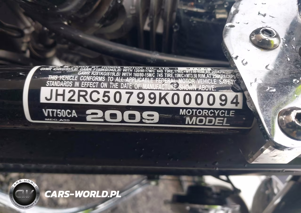 2009 Honda Vt750 Ca VIN:JH2RC50799K000094 - 10