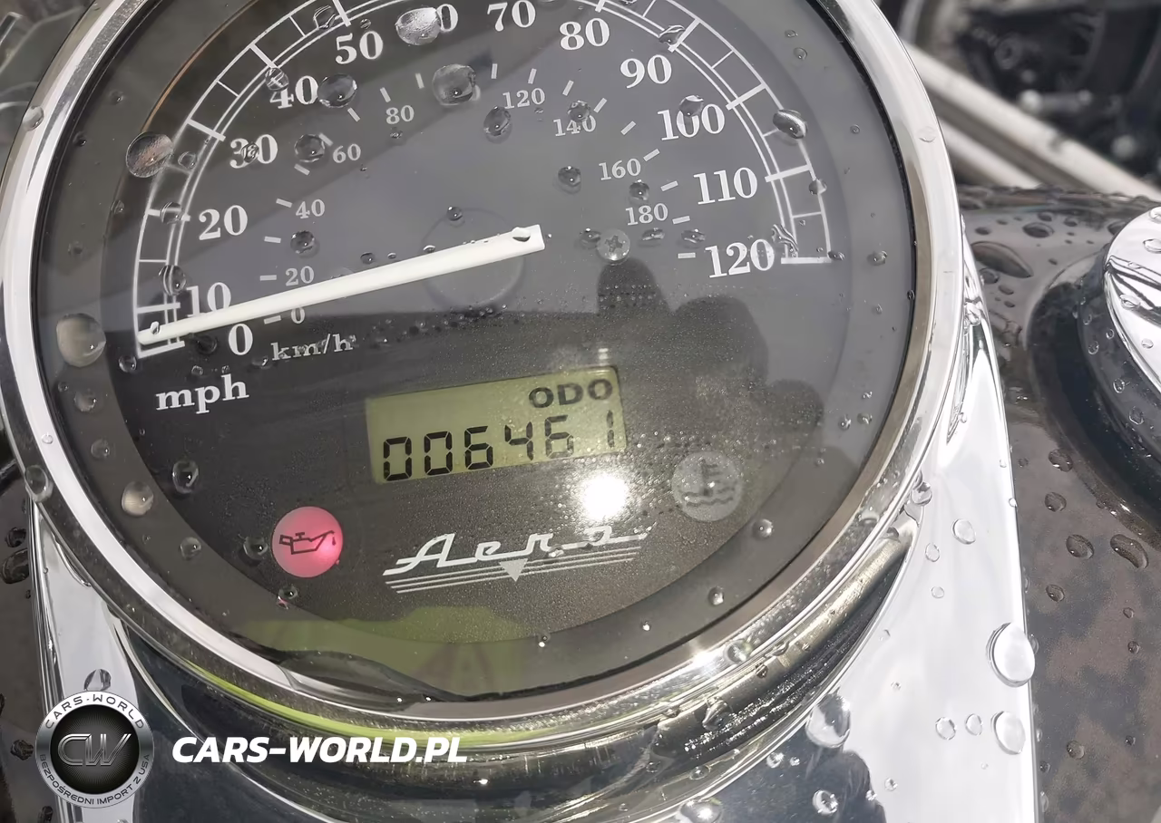 2009 Honda Vt750 Ca VIN:JH2RC50799K000094 - 7