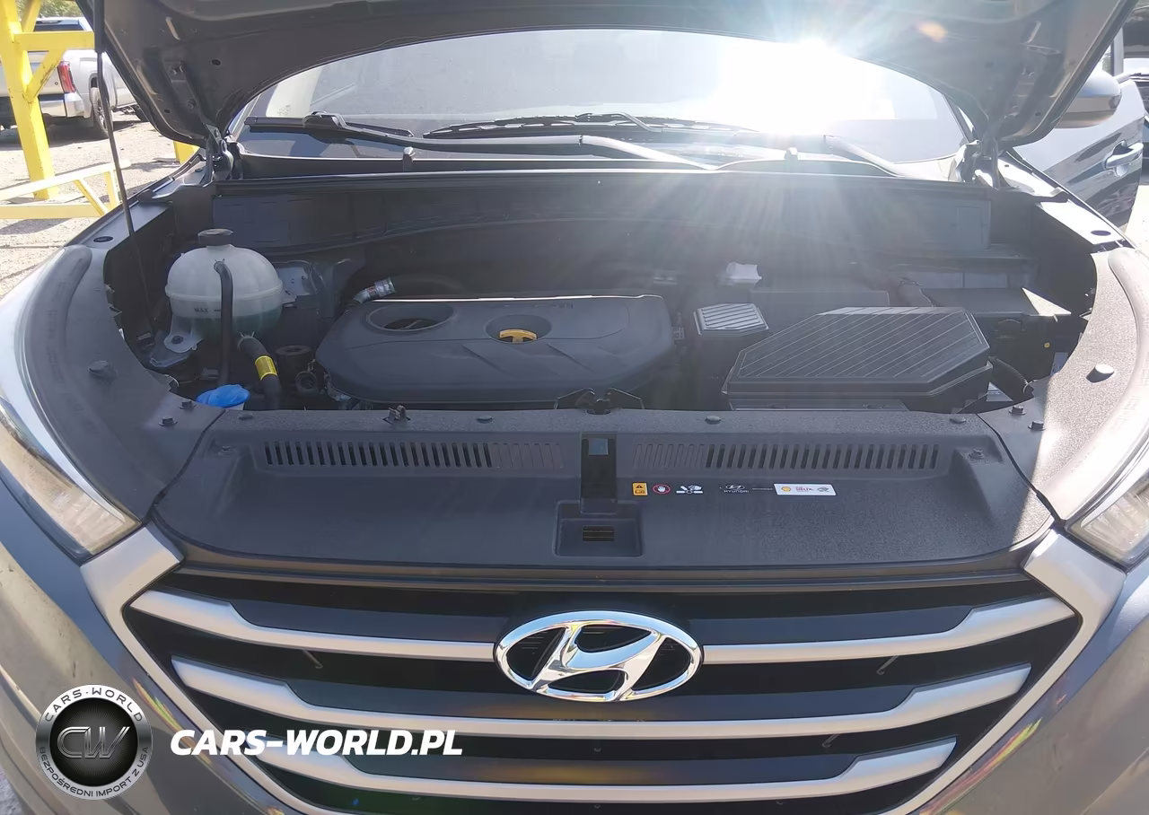 2017 Hyundai Tucson Se VIN:KM8J3CA48HU574859 - 10
