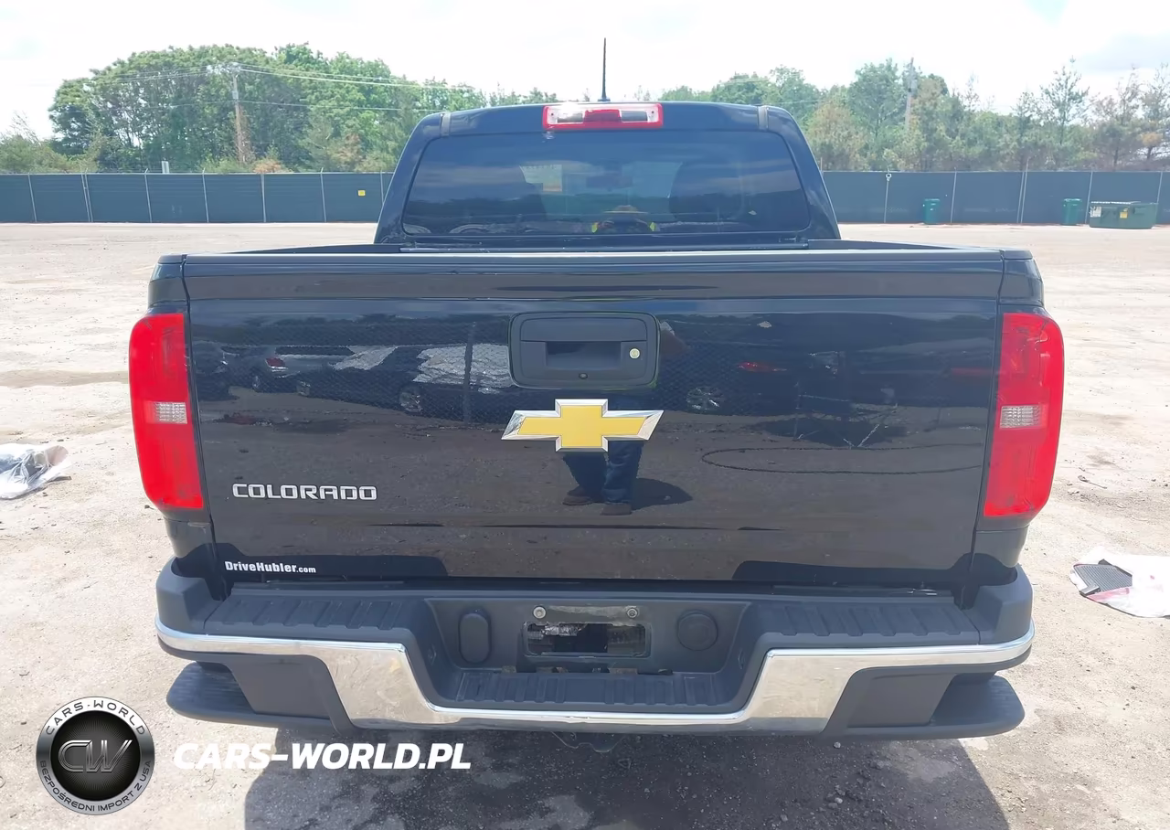 2019 Chevrolet Colorado Wt VIN:1GCGSBEA5K1137440 - 16