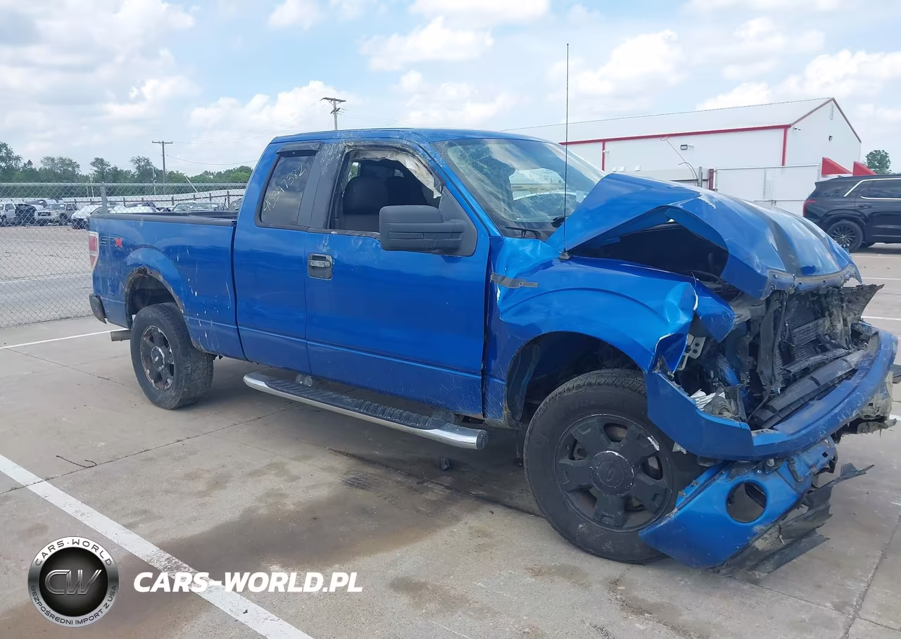 2010 Ford F-150 Stx-Xl-Xlt – zdjęcie 1 z 16