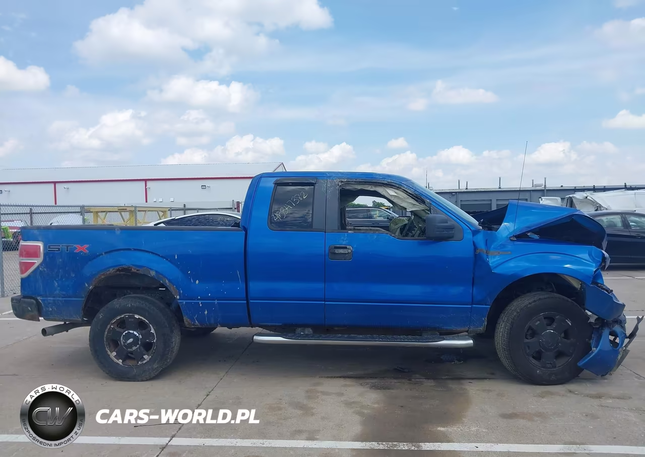 2010 Ford F-150 Stx-Xl-Xlt VIN:1FTEX1E81AFA35053 - 13