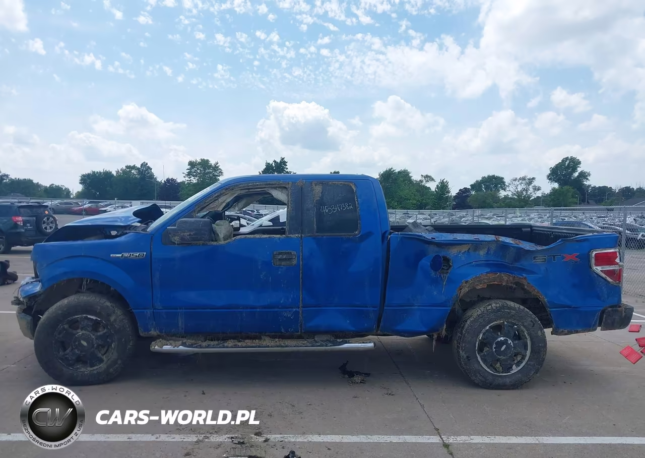 2010 Ford F-150 Stx-Xl-Xlt VIN:1FTEX1E81AFA35053 - 14