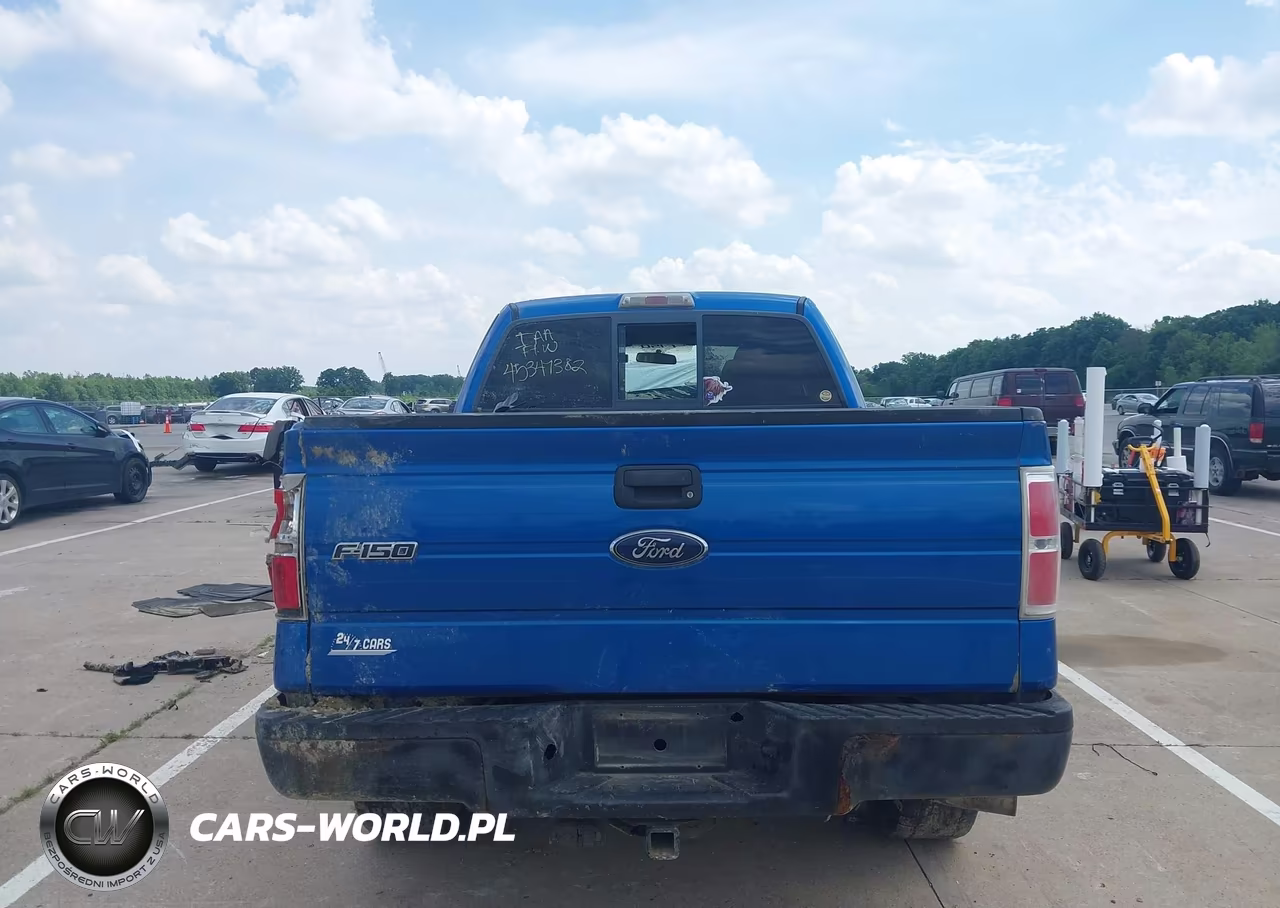 2010 Ford F-150 Stx-Xl-Xlt VIN:1FTEX1E81AFA35053 - 16