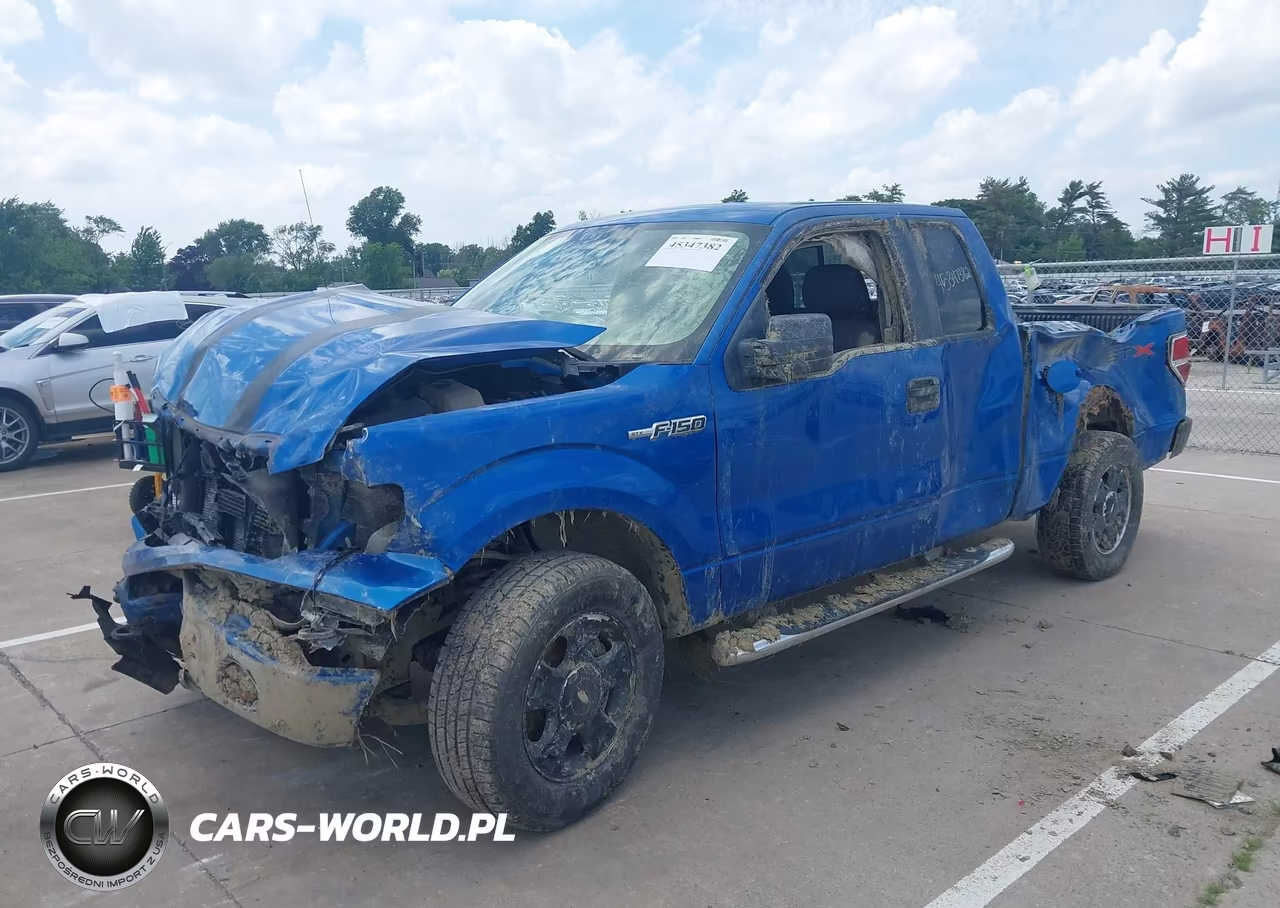 2010 Ford F-150 Stx-Xl-Xlt VIN:1FTEX1E81AFA35053 - 2