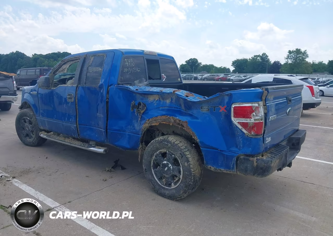 2010 Ford F-150 Stx-Xl-Xlt VIN:1FTEX1E81AFA35053 - 3