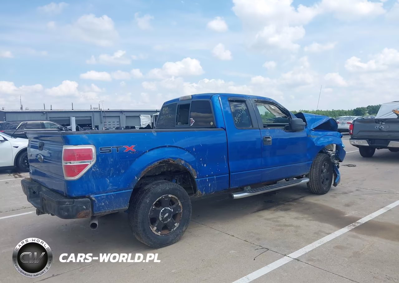2010 Ford F-150 Stx-Xl-Xlt VIN:1FTEX1E81AFA35053 - 4