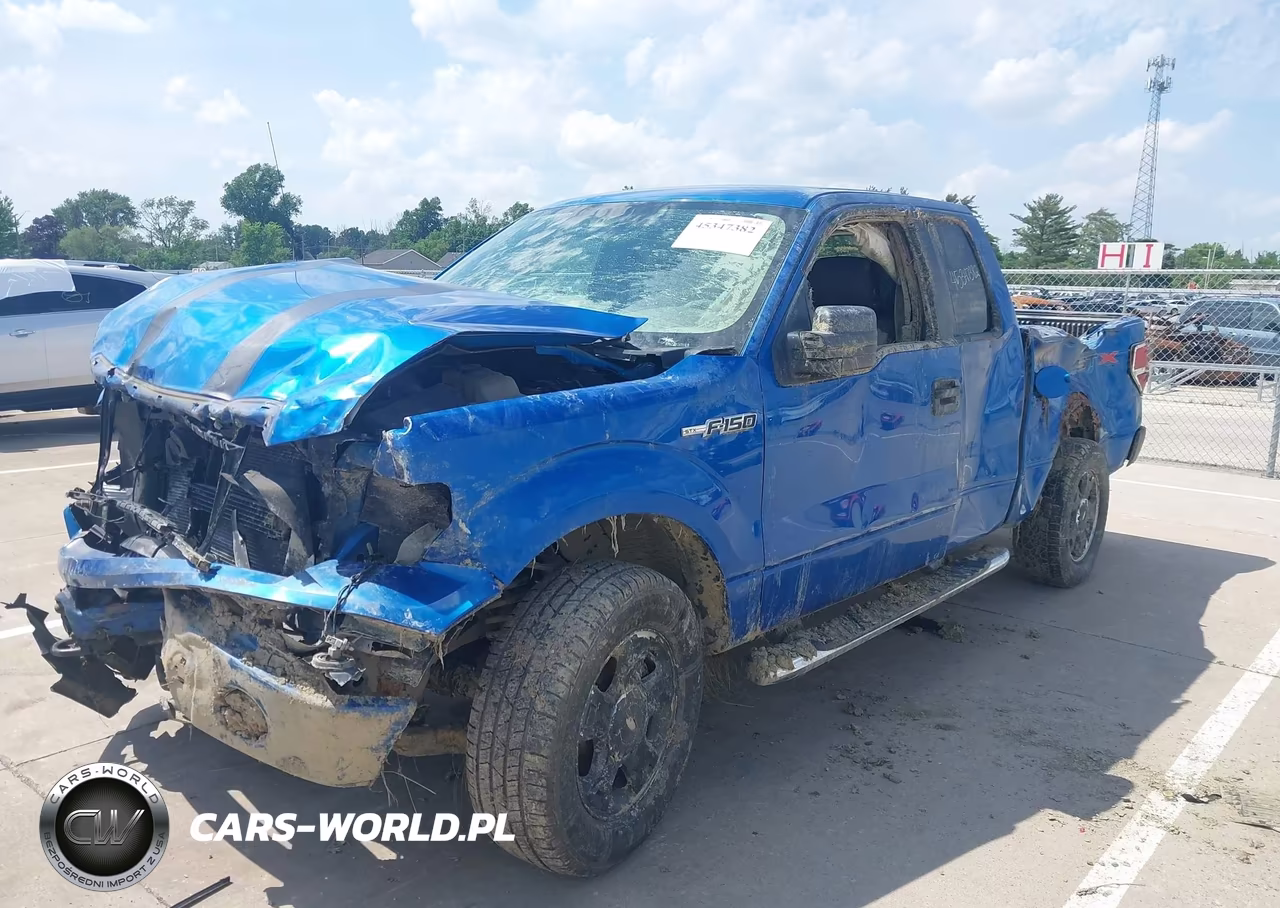 2010 Ford F-150 Stx-Xl-Xlt VIN:1FTEX1E81AFA35053 - 6