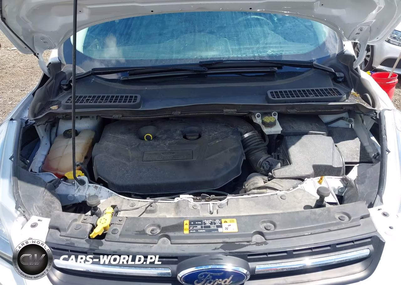 2016 Ford Escape Se VIN:1FMCU0G94GUB60614 - 10