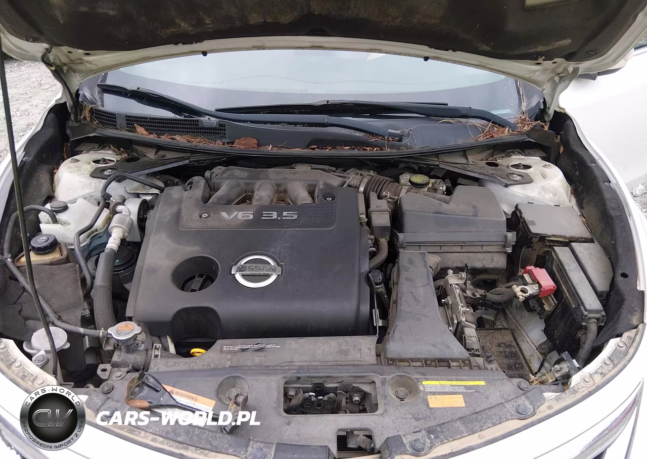 2014 Nissan Altima 3.5 Sl VIN:1N4BL3APXEN214362 - 10