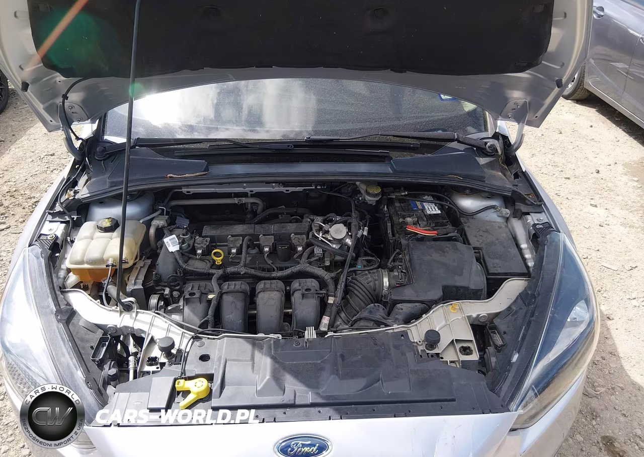 2016 Ford Focus Se VIN:1FADP3F22GL383204 - 10