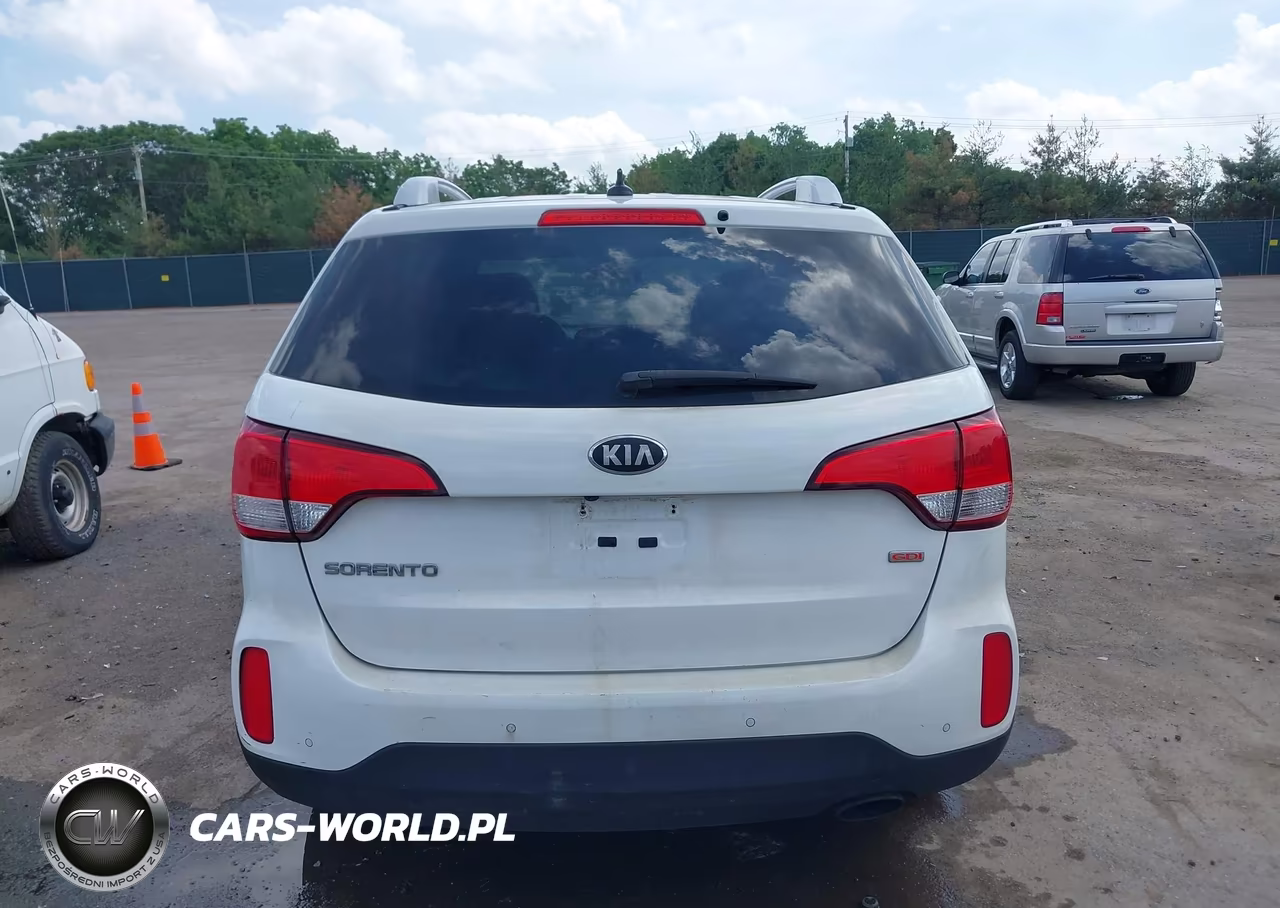 2014 Kia Sorento Lx VIN:5XYKT3A66EG434803 - 17