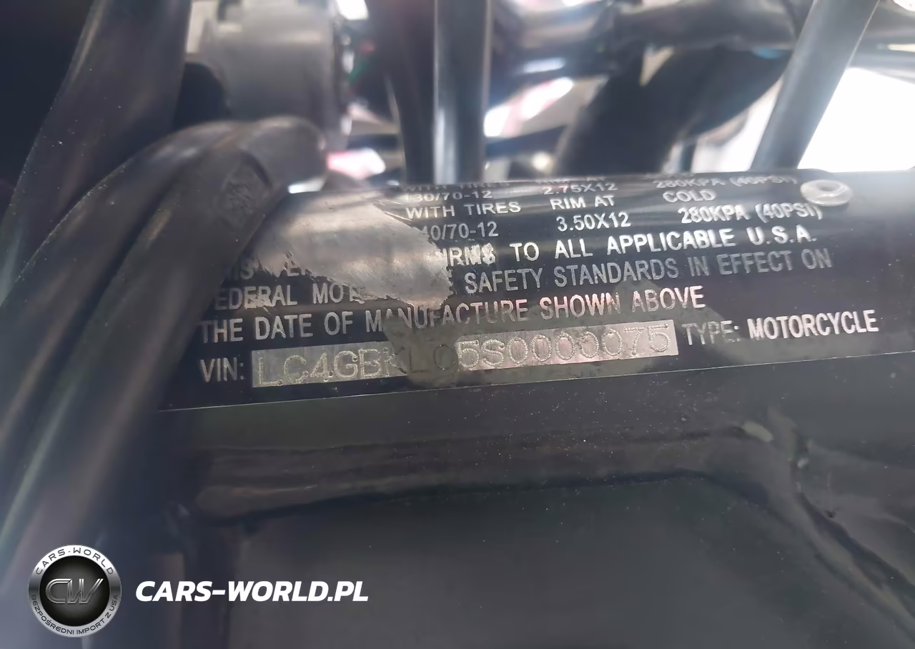 2025 Other Other VIN:LC4GBKLC5S0000075 - 10
