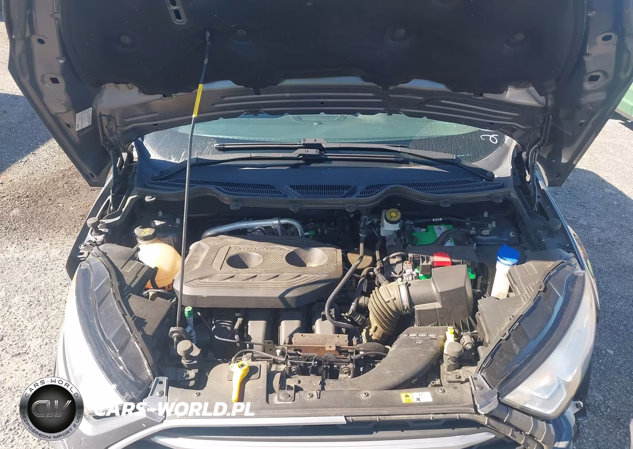 2018 Ford Ecosport Se VIN:MAJ6P1UL0JC219546 - 10