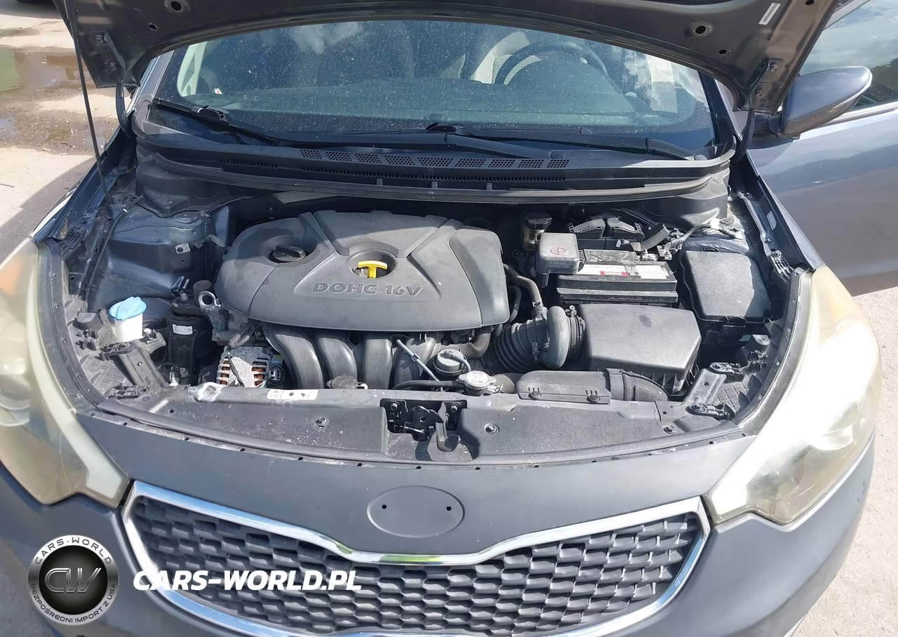 2015 Kia Forte Lx VIN:KNAFX4A68F5430464 - 10