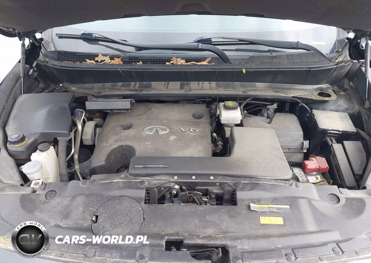 2014 Infiniti Qx60 VIN:5N1AL0MMXEC522029 - 10