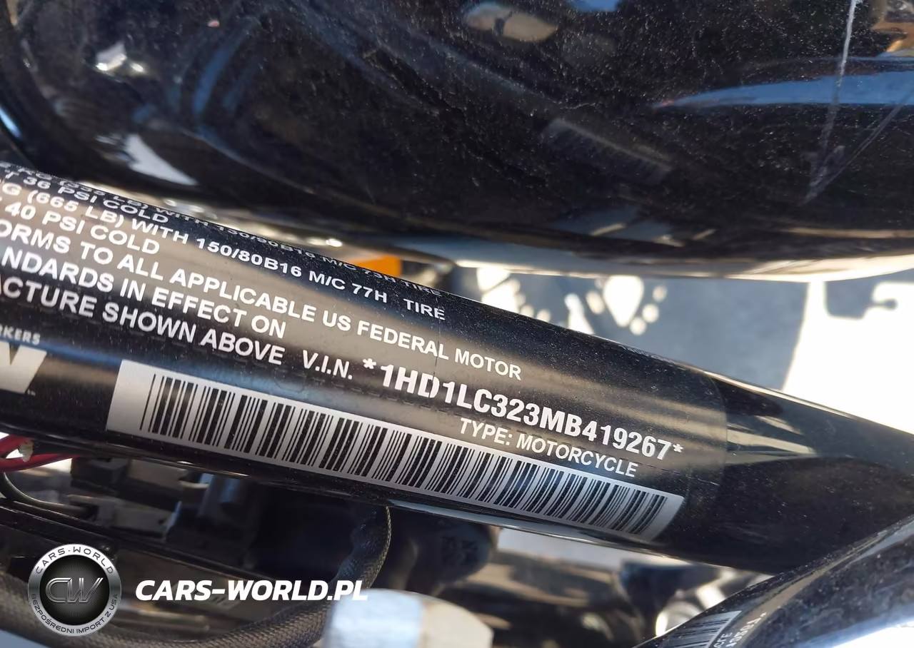 2021 Harley-Davidson Xl1200 X VIN:1HD1LC323MB419267 - 10