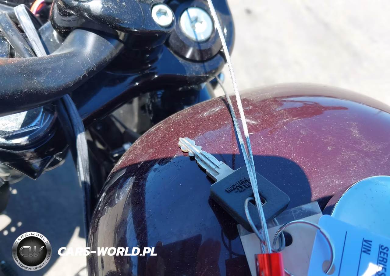 2021 Harley-Davidson Xl1200 X VIN:1HD1LC323MB419267 - 11