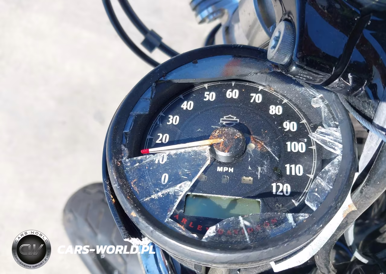 2021 Harley-Davidson Xl1200 X VIN:1HD1LC323MB419267 - 7