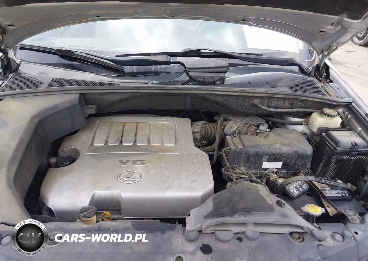 2009 Lexus Rx 350 VIN:2T2HK31U39C112743 - 10