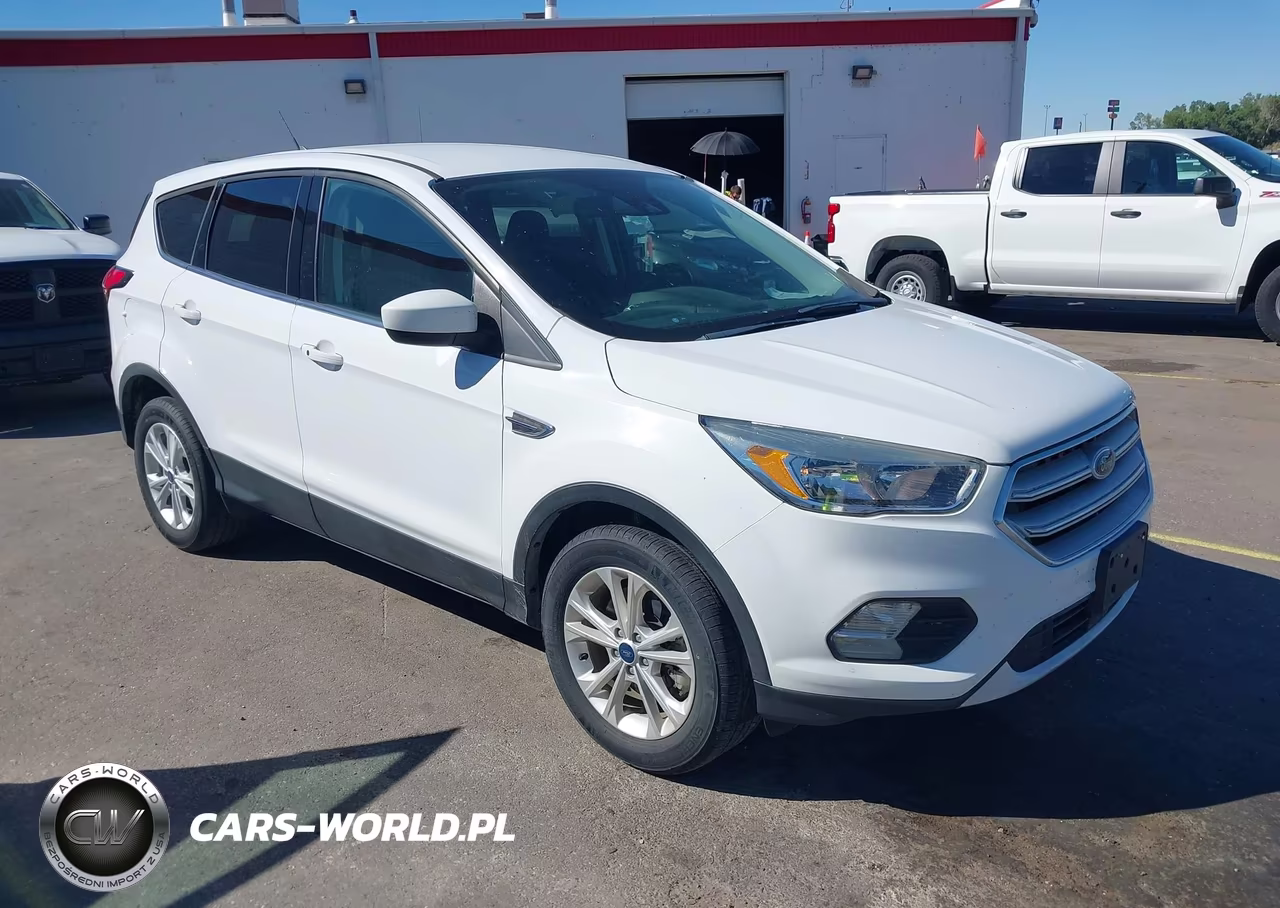 2019 Ford Escape Se