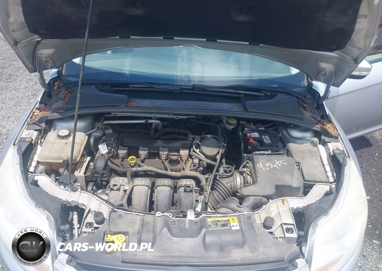 2013 Ford Focus Se VIN:1FADP3K23DL174278 - 10