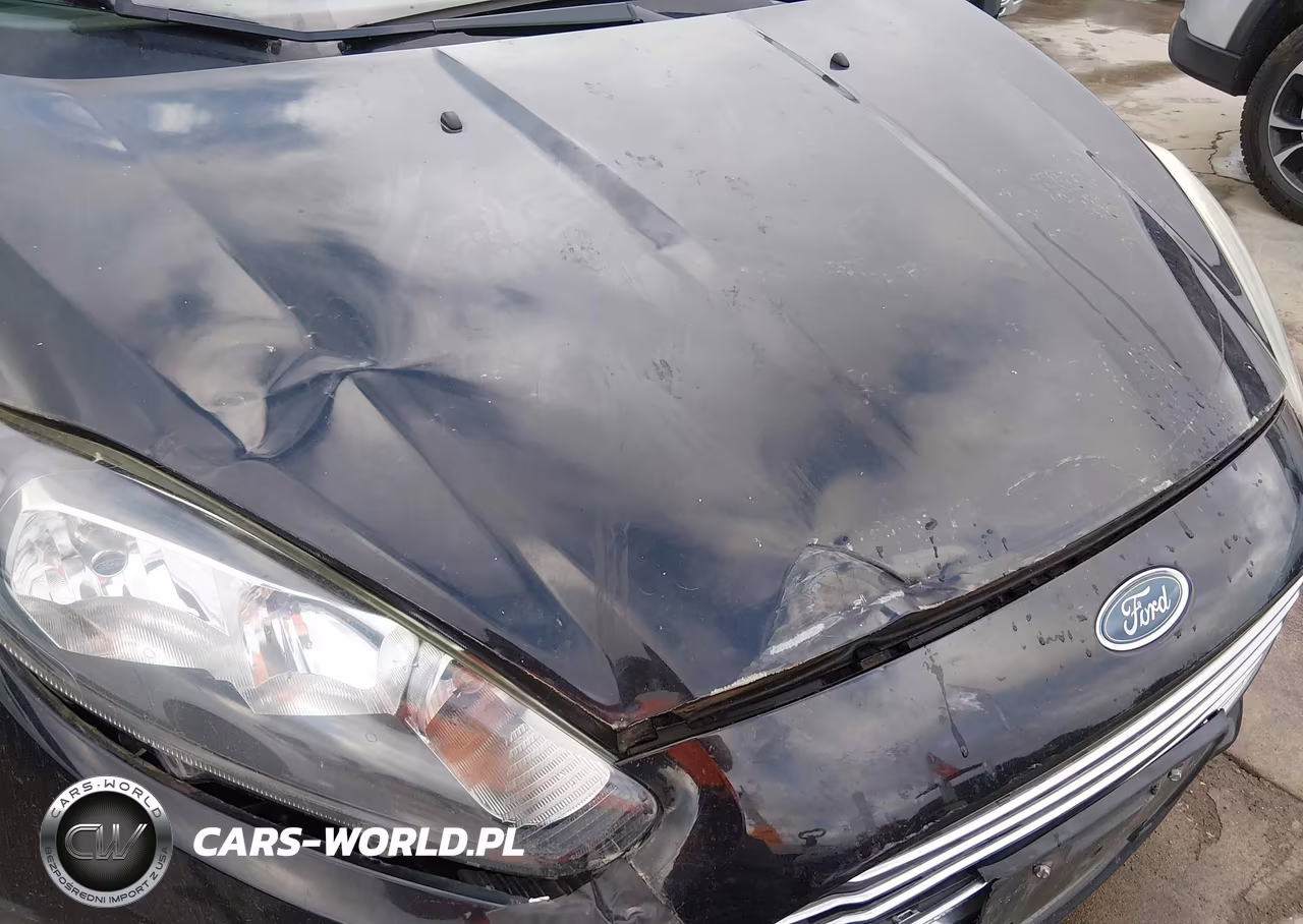 2015 Ford Fiesta S VIN:3FADP4AJ0FM120680 - 6