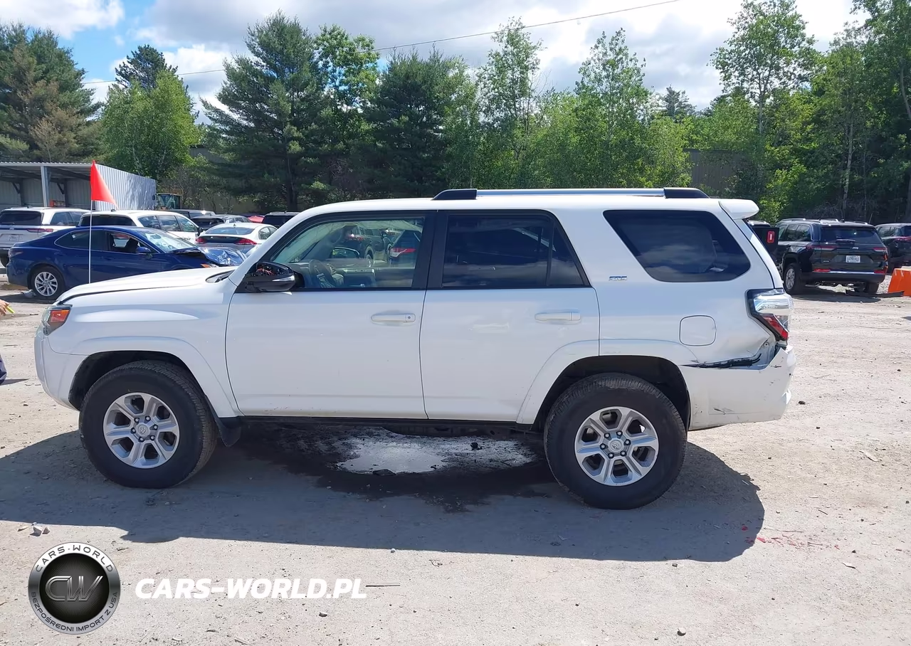 2019 Toyota 4Runner Sr5 Premium VIN:JTEBU5JR6K5642067 - 13