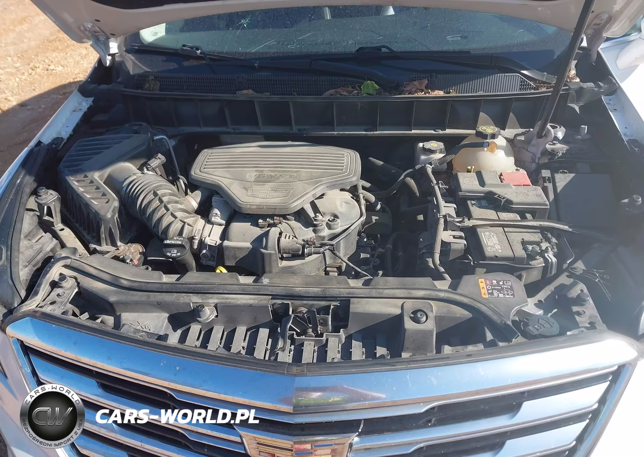 2019 Cadillac Xt5 Luxury VIN:1GYKNCRS0KZ284982 - 10
