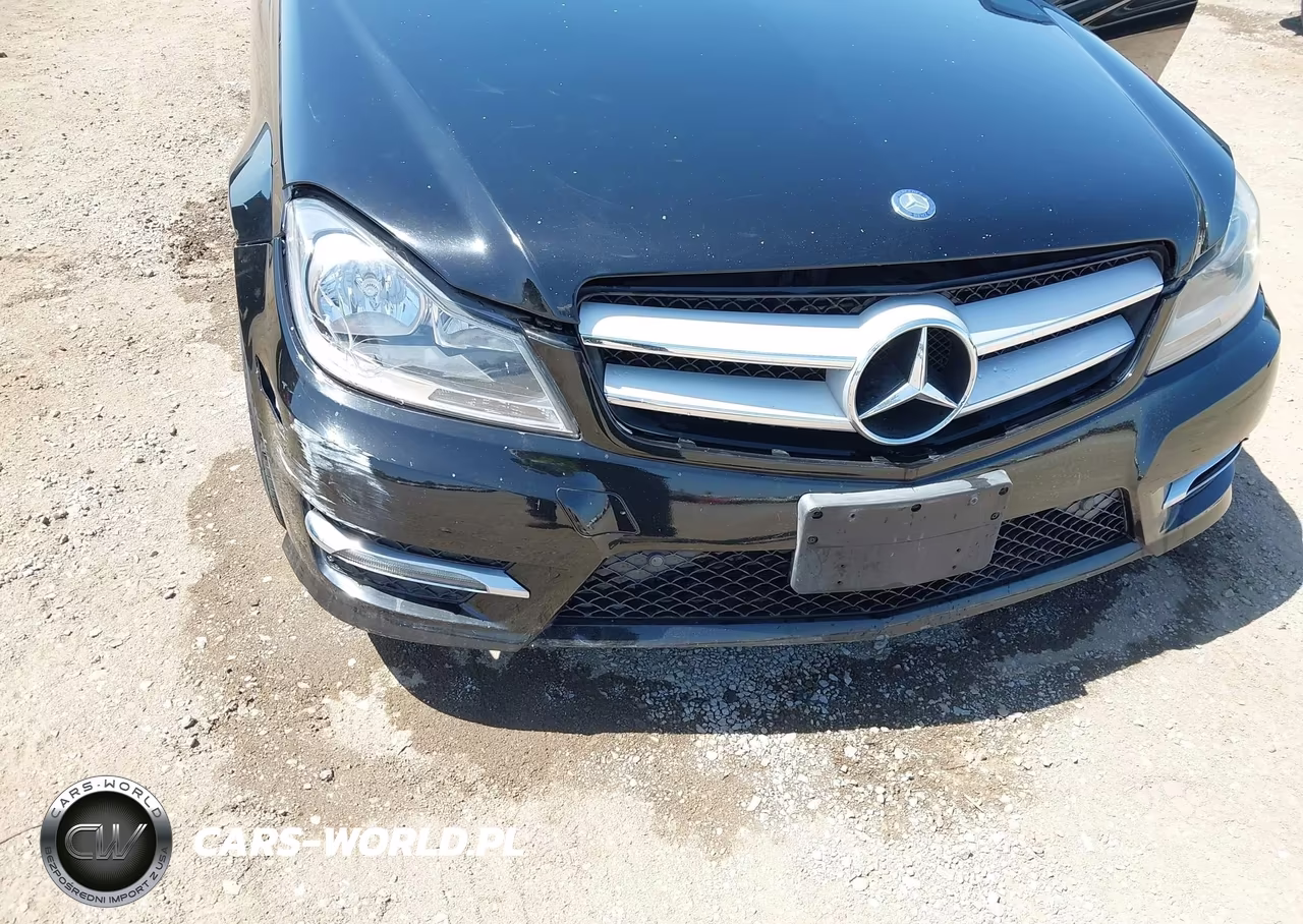2012 Mercedes-Benz C 250 VIN:WDDGJ4HB0CF787662 - 10
