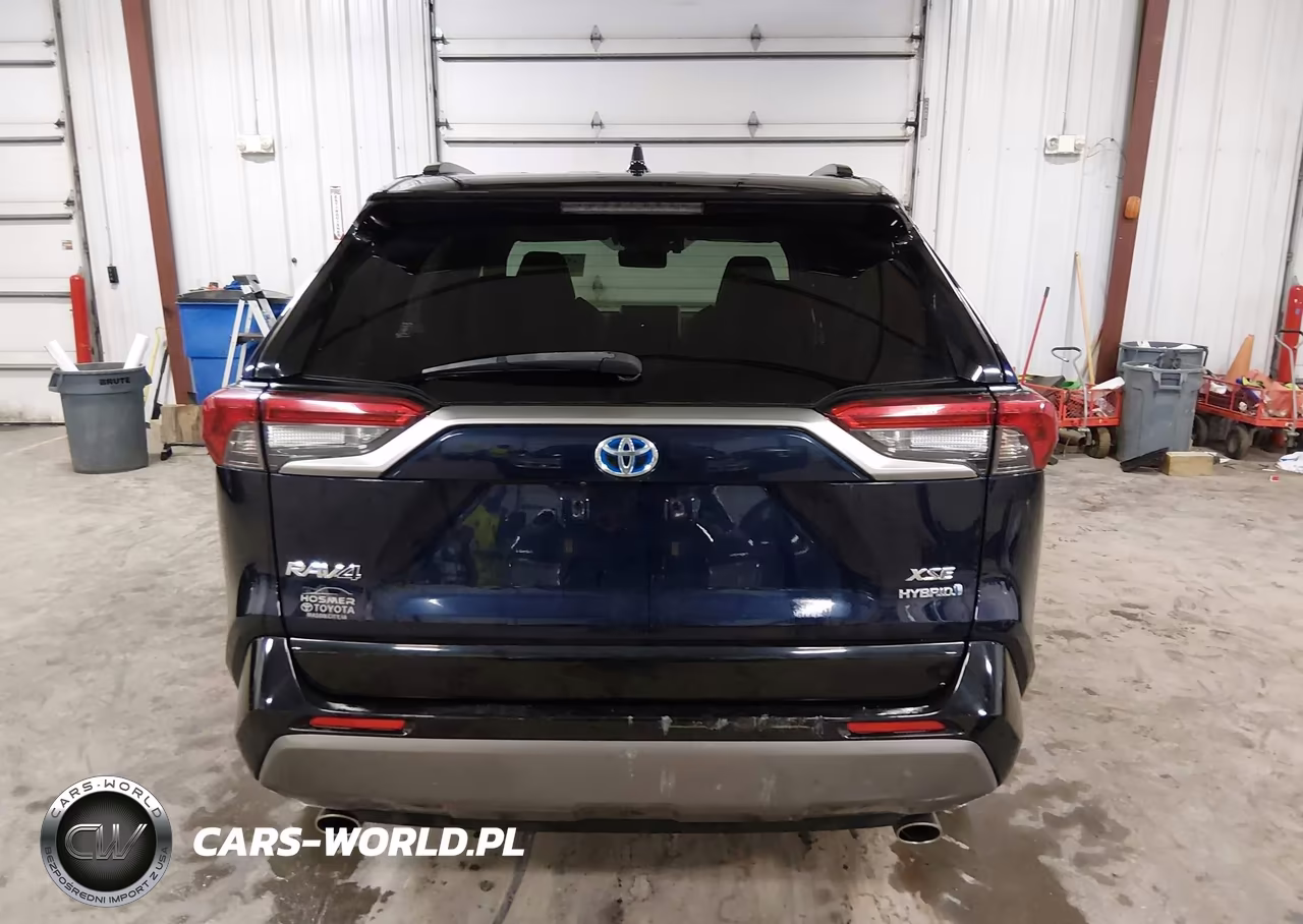 2019 Toyota Rav4 Hybrid Xse VIN:JTMEWRFV1KD511191 - 17