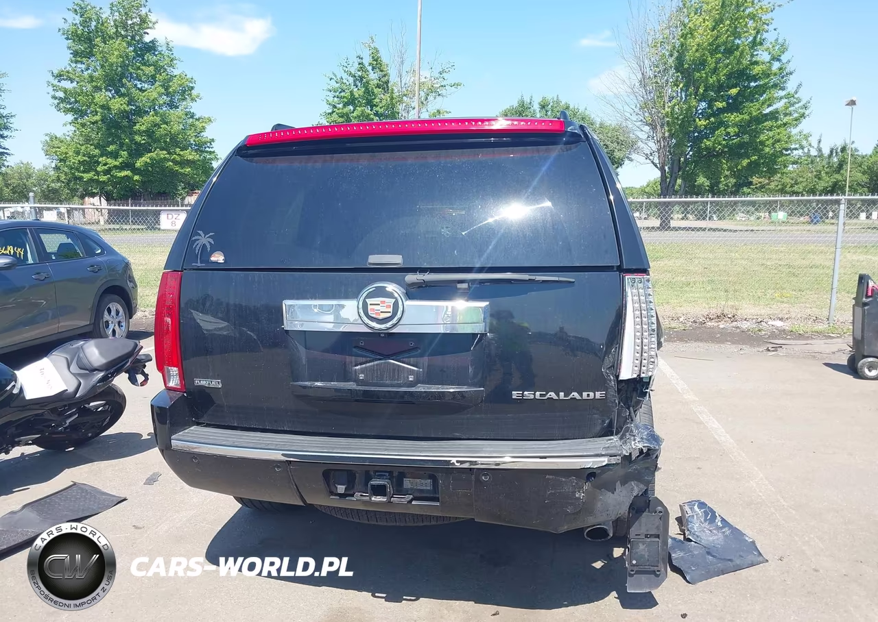 2011 Cadillac Escalade Premium VIN:1GYS4CEF2BR126770 - 17