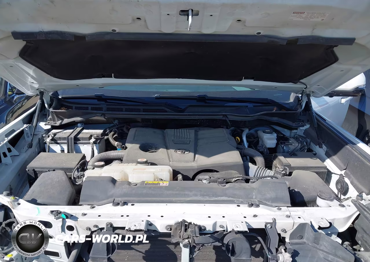 2022 Toyota Tundra Platinum VIN:5TFNA5DB2NX018588 - 10