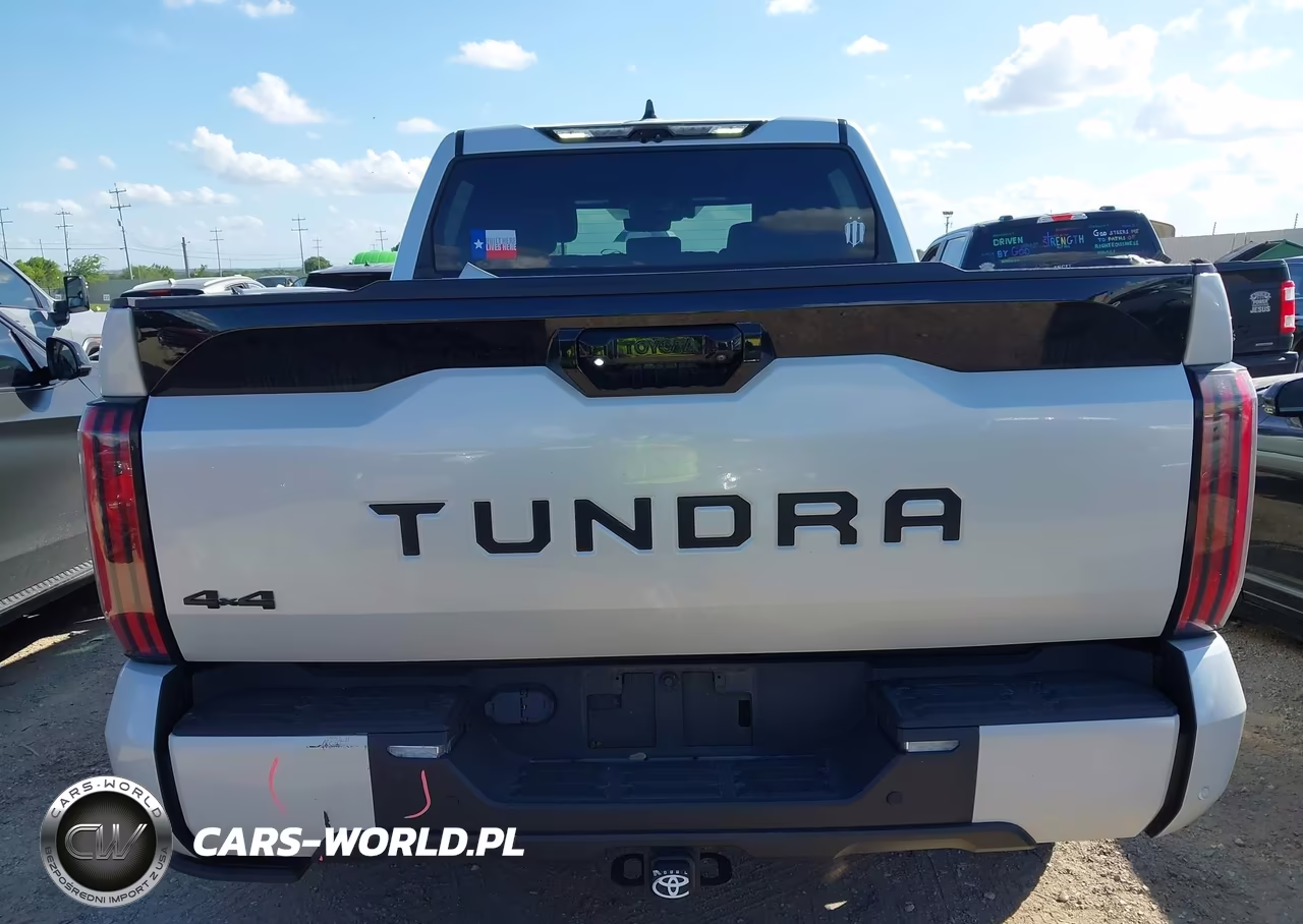2022 Toyota Tundra Platinum VIN:5TFNA5DB2NX018588 - 17