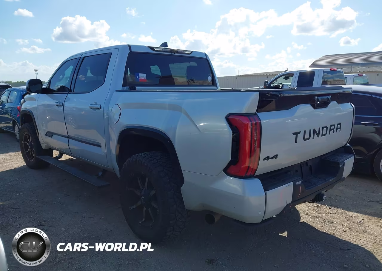 2022 Toyota Tundra Platinum VIN:5TFNA5DB2NX018588 - 3