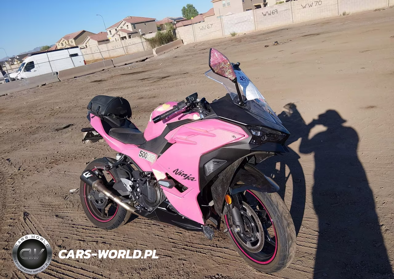 2025 Kawasaki Ex500 A-B – zdjęcie 1 z 17