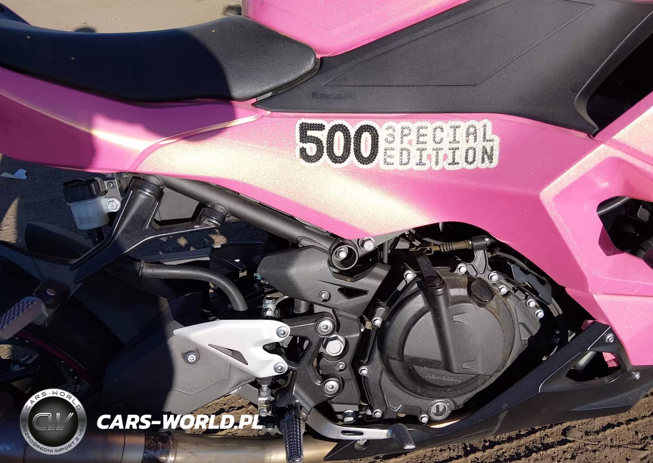 2025 Kawasaki Ex500 A-B VIN:ML5EXGJ18SDA55855 - 8