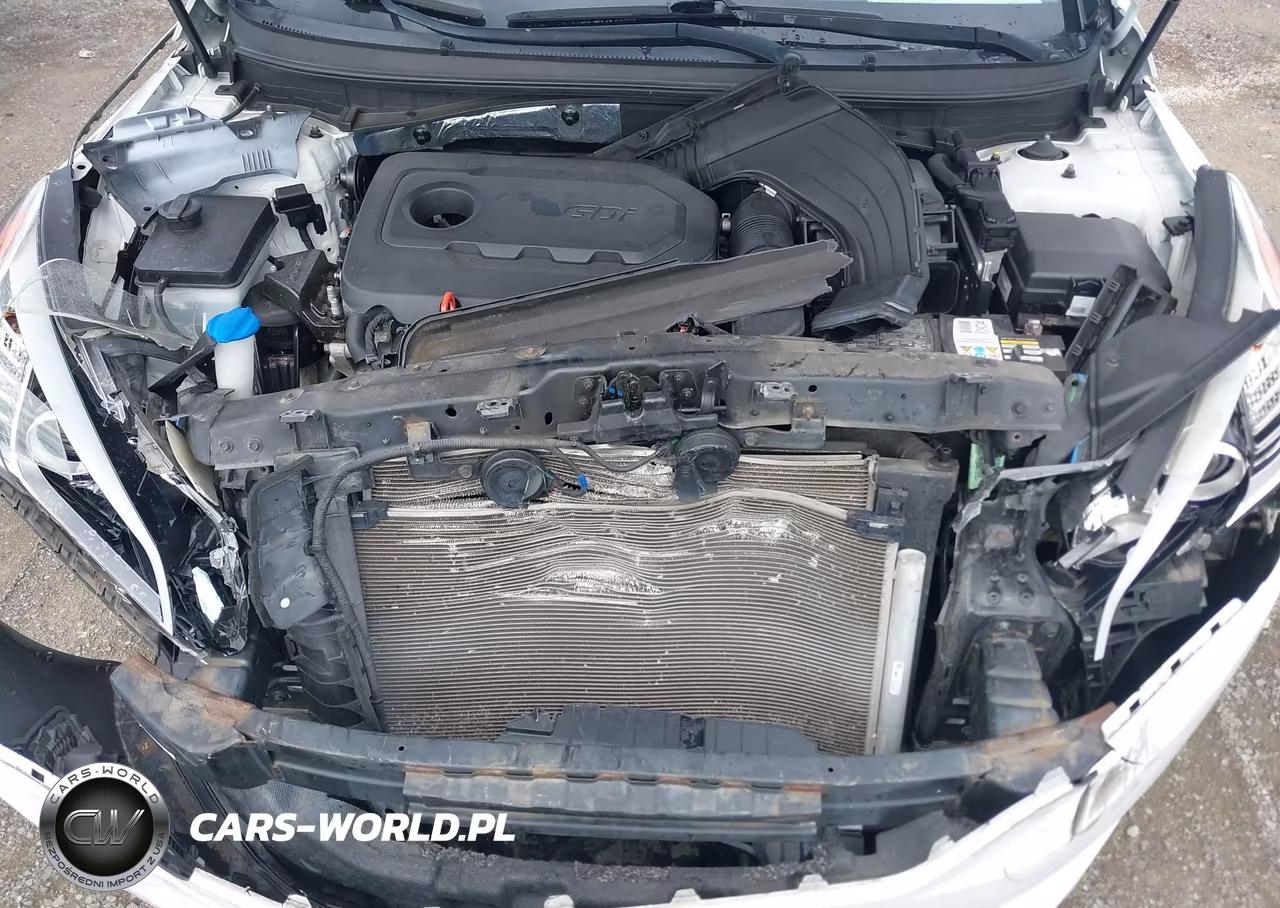 2016 Hyundai Sonata Se VIN:5NPE24AF4GH330537 - 10