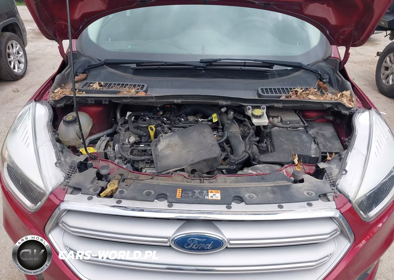 2019 Ford Escape Se VIN:1FMCU9GD8KUC53380 - 10