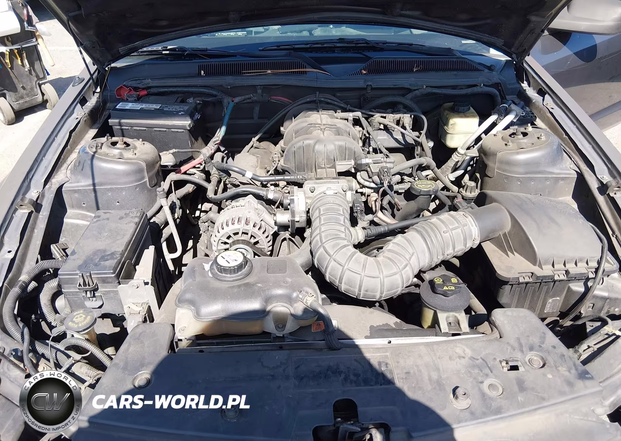 2007 Ford Mustang V6 Deluxe-V6 Premium VIN:1ZVFT80N775270445 - 10