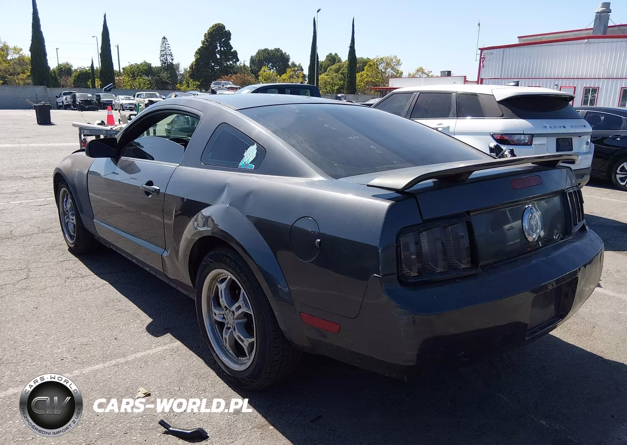 2007 Ford Mustang V6 Deluxe-V6 Premium VIN:1ZVFT80N775270445 - 3
