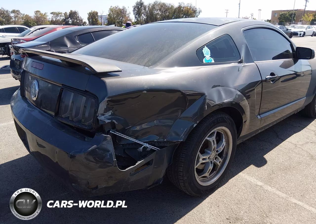 2007 Ford Mustang V6 Deluxe-V6 Premium VIN:1ZVFT80N775270445 - 6