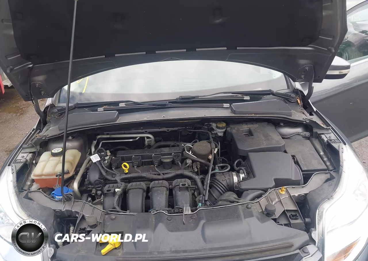 2012 Ford Focus Sel VIN:1FAHP3H24CL252610 - 10