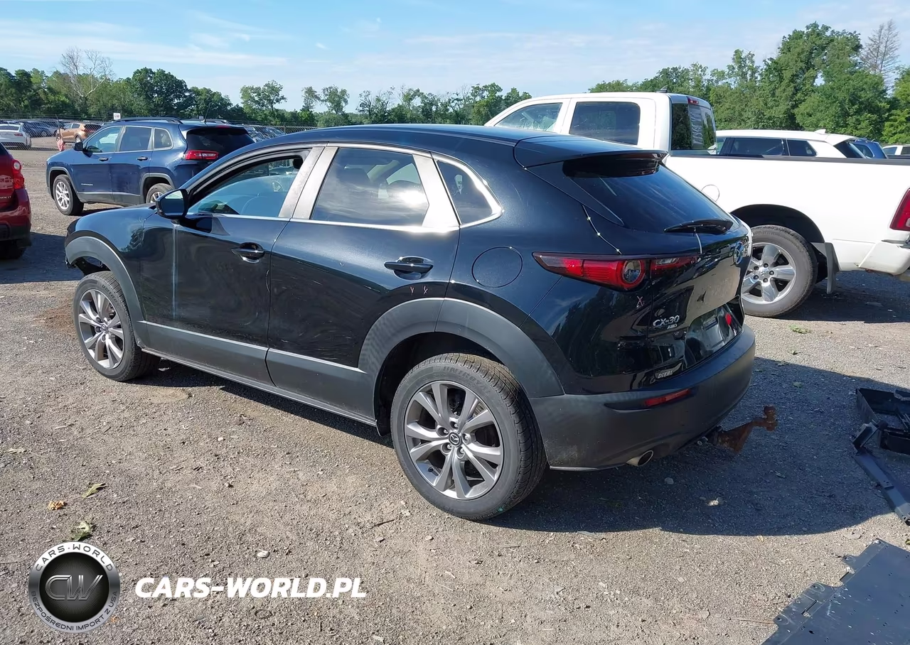 2020 Mazda Cx-30 Select Package VIN:3MVDMBCL8LM115825 - 3