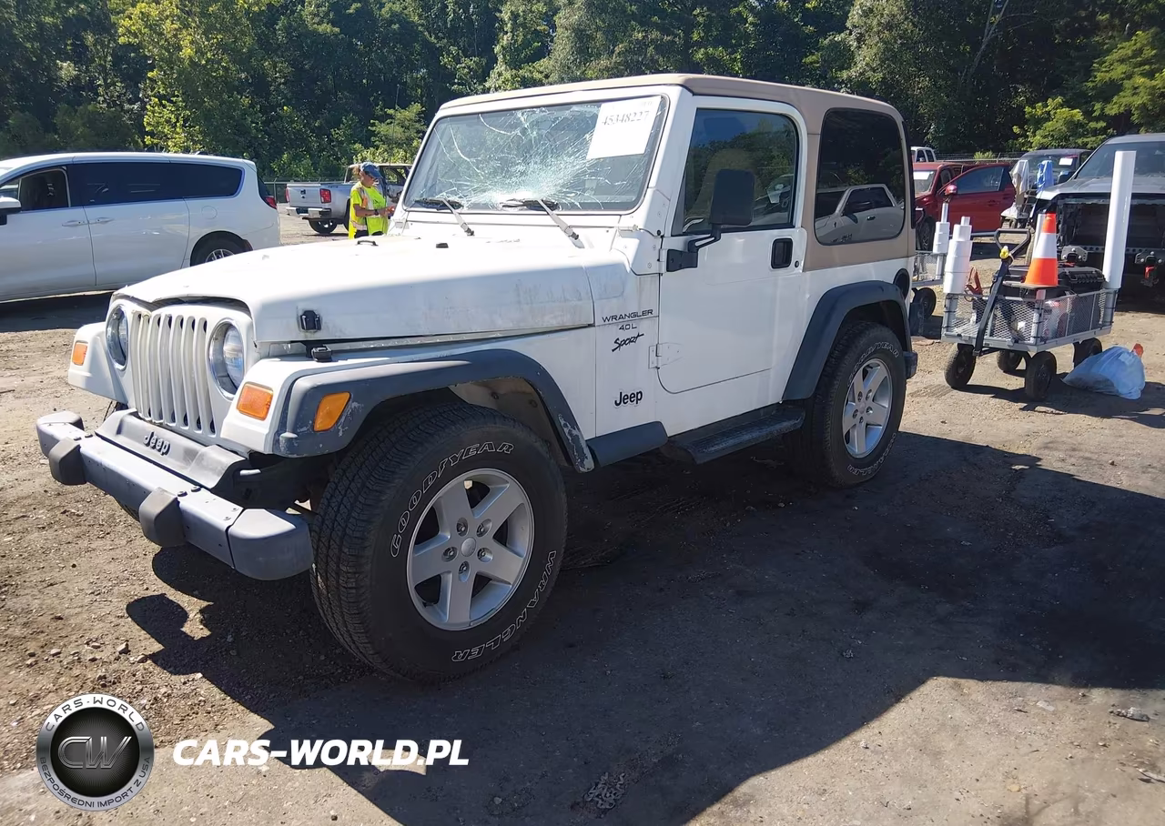 2001 Jeep Wrangler Sport VIN:1J4FA49S51P359334 - 2